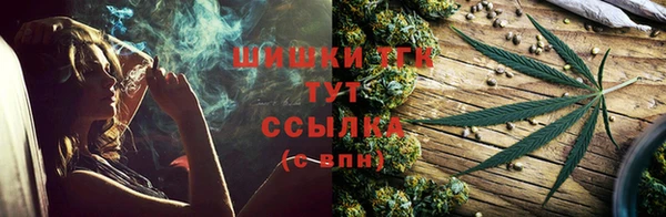 гидра Армянск