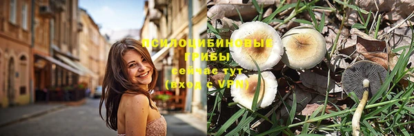 соль ск Аркадак