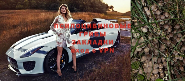 соль ск Аркадак