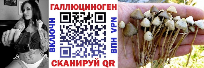 Галлюциногенные грибы ЛСД  Судак 